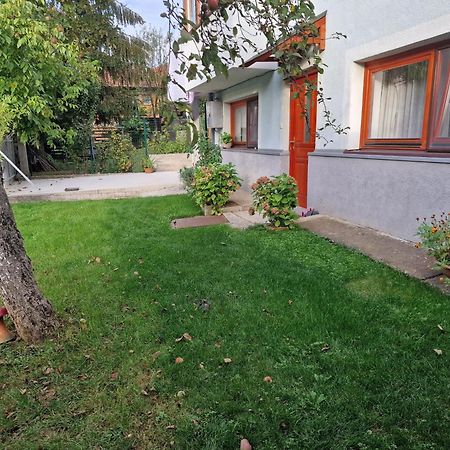Apartment Near Center Σαράγεβο Εξωτερικό φωτογραφία