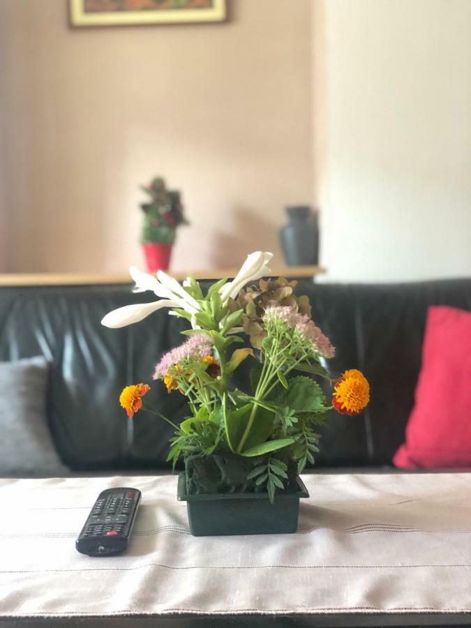 Apartment Near Center Σαράγεβο Εξωτερικό φωτογραφία